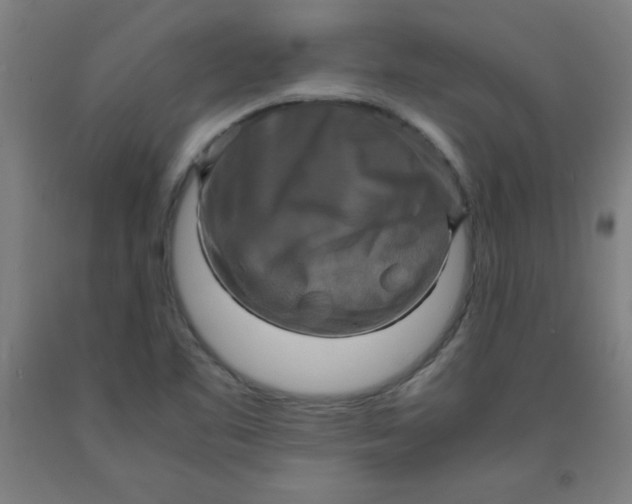 X0000091921461200709261632