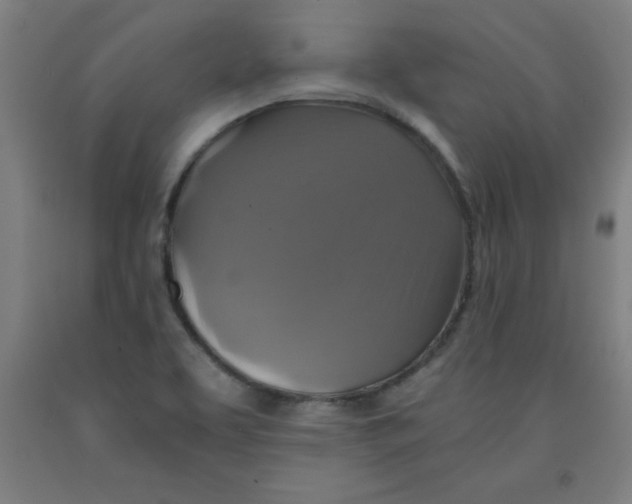 X0000091921463200709261632