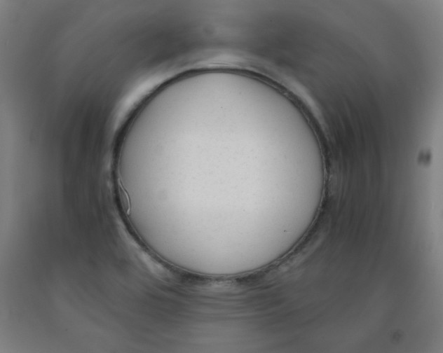 X0000091921464200709261632