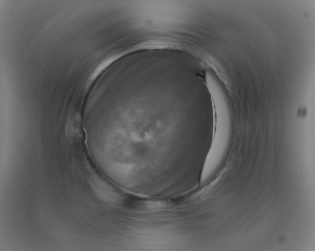 X0000091921465200709261632