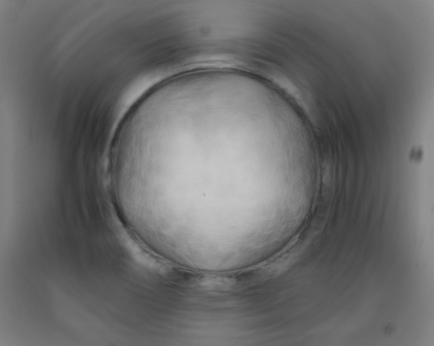 X0000091921466200709261632