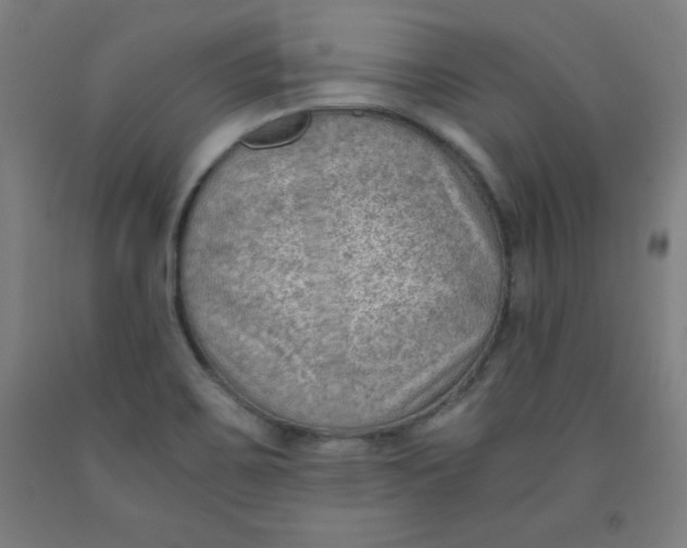 X0000091921467200709261632