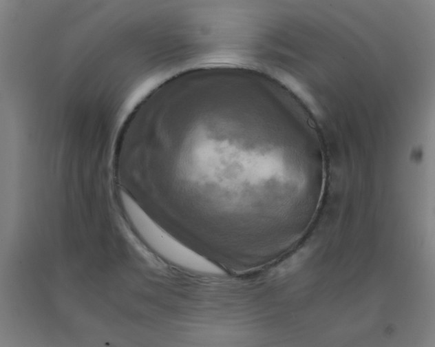 X0000091921469200709261632