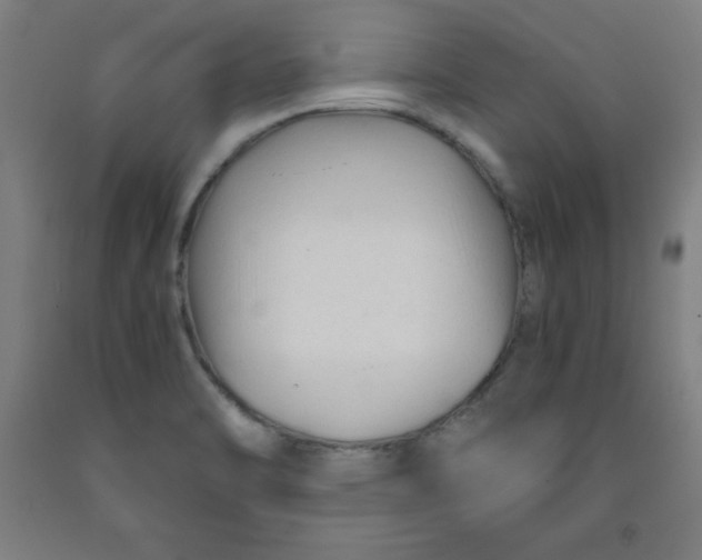 X0000091921470200709261632