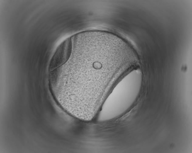 X0000091921471200709261632