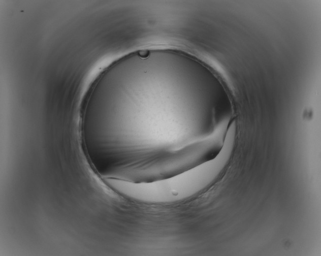 X0000091921472200709261632