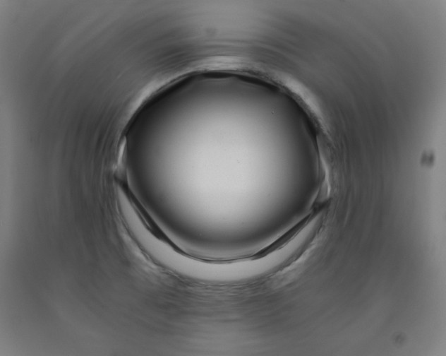 X0000091921473200709261632