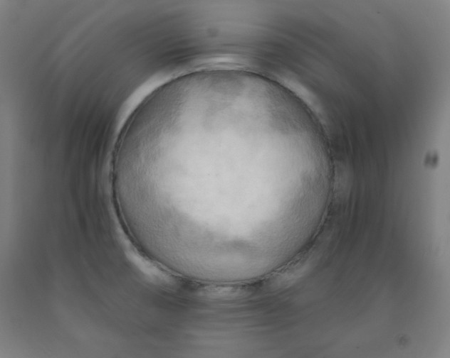 X0000091921474200709261632