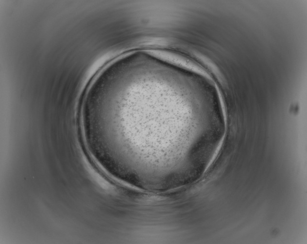 X0000091921475200709261632