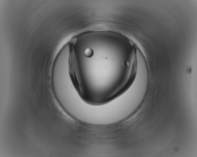 X0000091921477200709261632