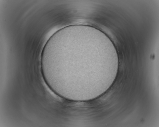 X0000091921479200709261632