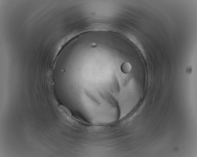 X0000091921481200709261632