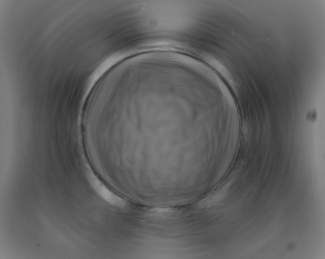 X0000091921482200709261631