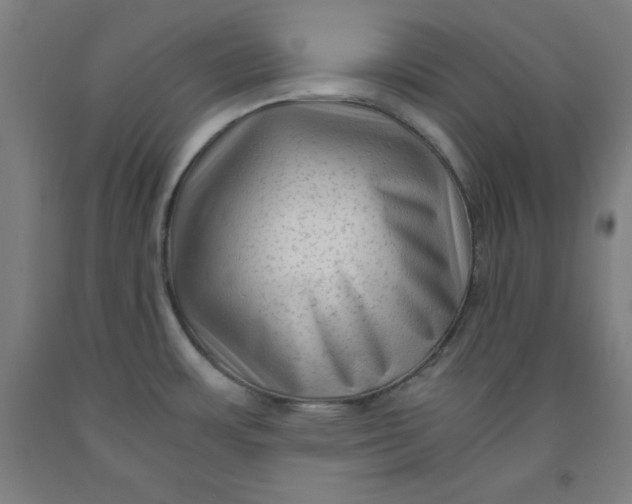 X0000091921483200709261631