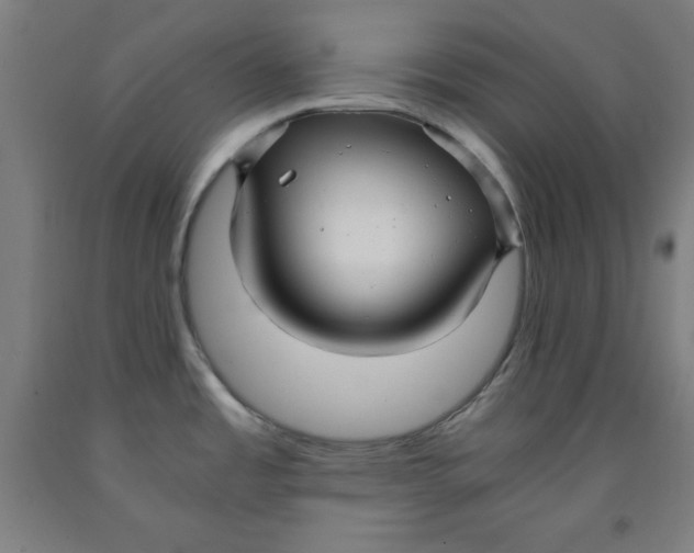 X0000091921485200709261631