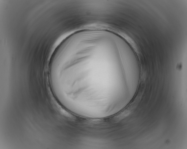 X0000091921486200709261631