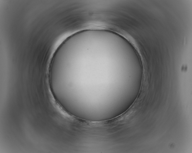 X0000091921488200709261631