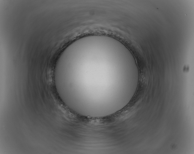 X0000091921490200709261631