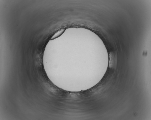 X0000091921491200709261631