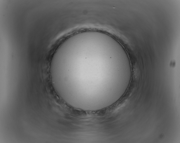 X0000091921494200709261631