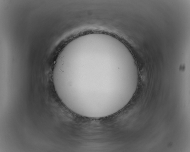 X0000091921495200709261631