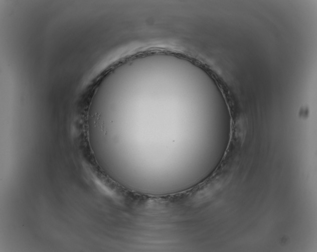 X0000091921496200709261631