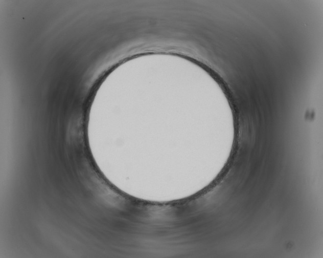 X0000091921498200709261631