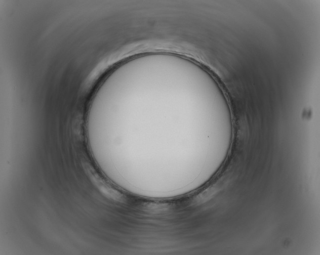 X0000091921499200709261631