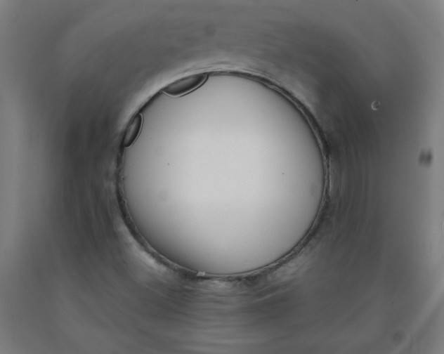 X0000091921500200709261631