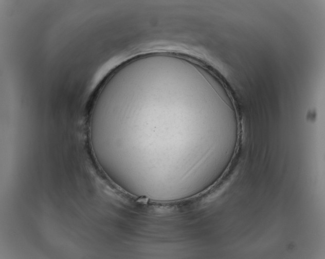 X0000091921501200709261631