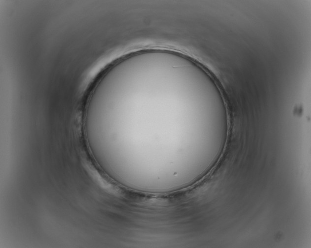 X0000091921503200709261631