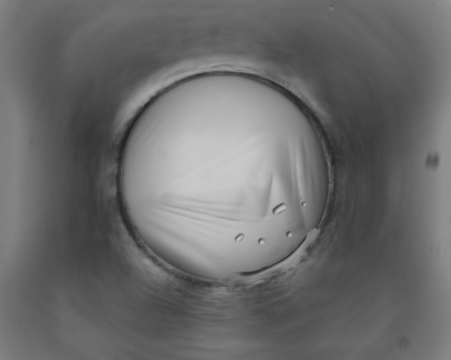 X0000091921504200709261631