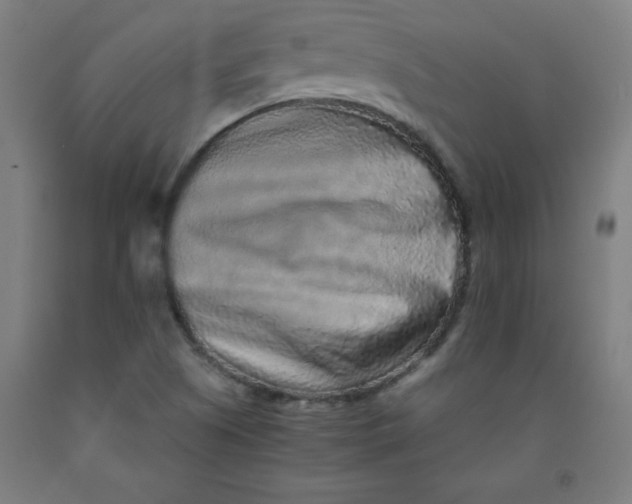 X0000091921505200709261631