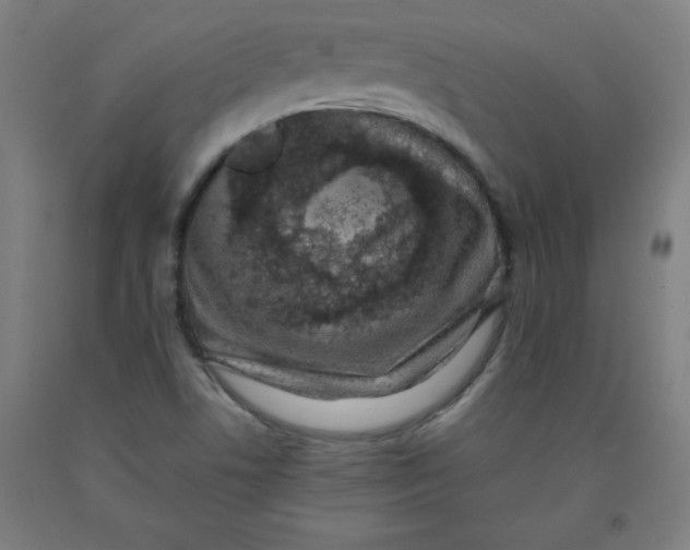 X0000091921506200709261631