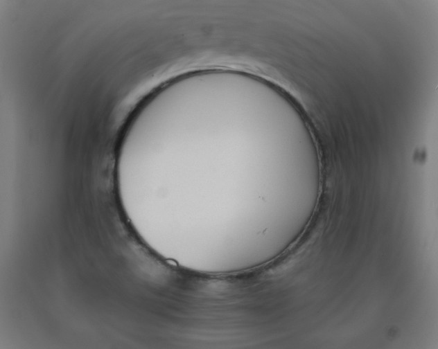 X0000091921507200709261631