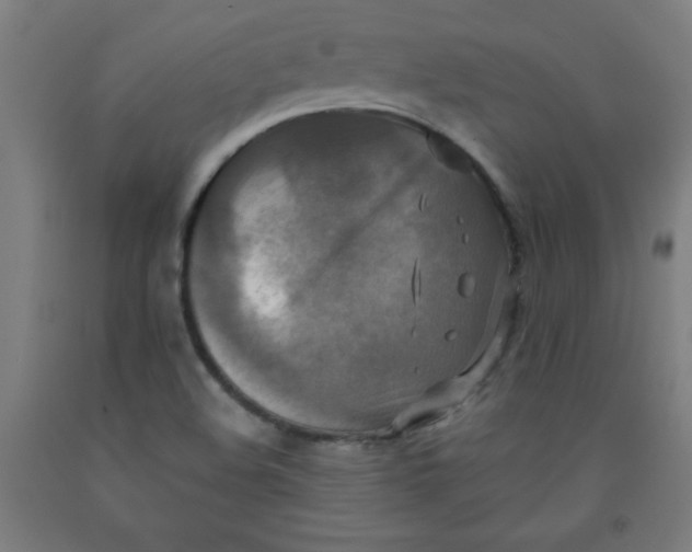 X0000091921508200709261631