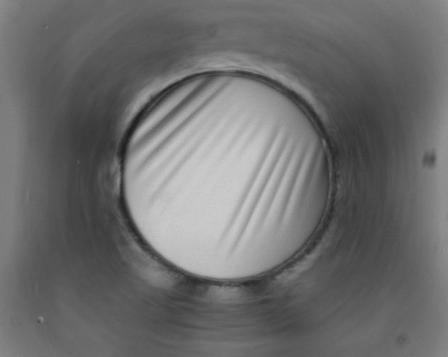 X0000091921509200709261631