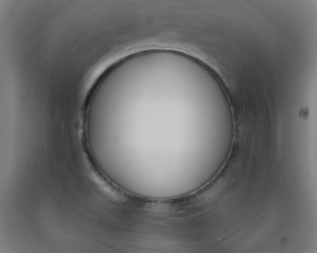 X0000091921511200709261631