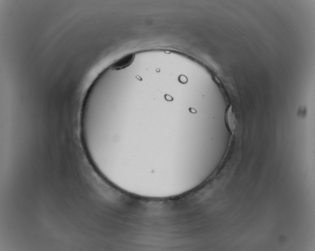 X0000091921512200709261631