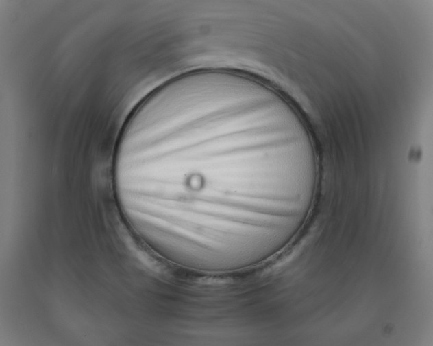 X0000091921513200709261631