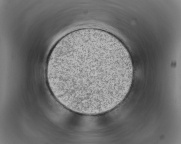 X0000091921514200709261631