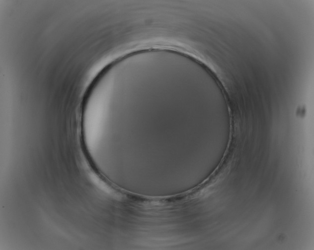 X0000091921515200709261631