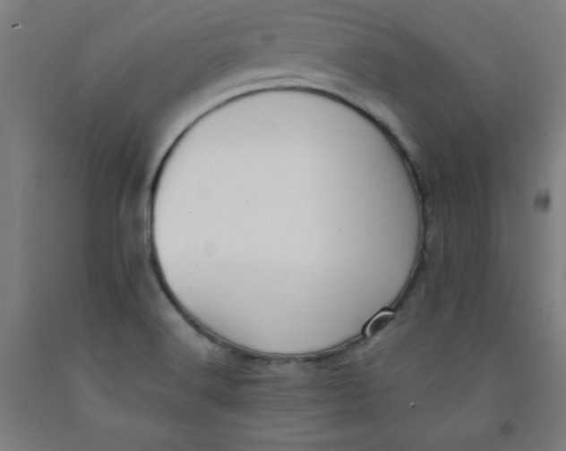 X0000091921516200709261631