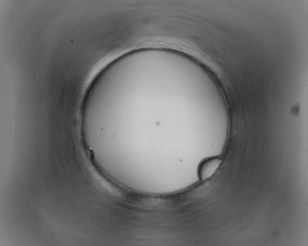 X0000091921517200709261631