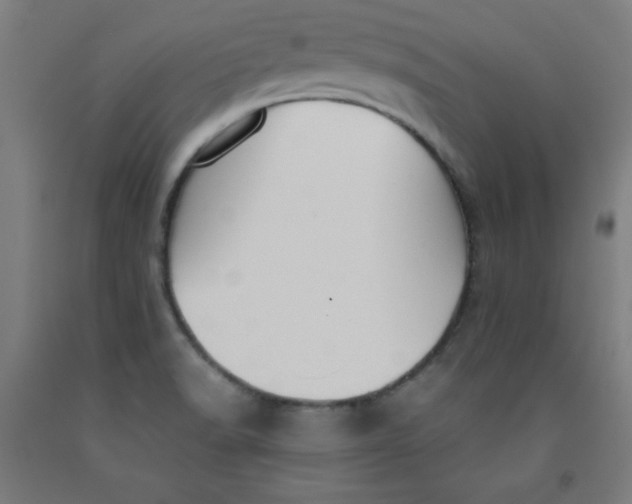 X0000091921518200709261631