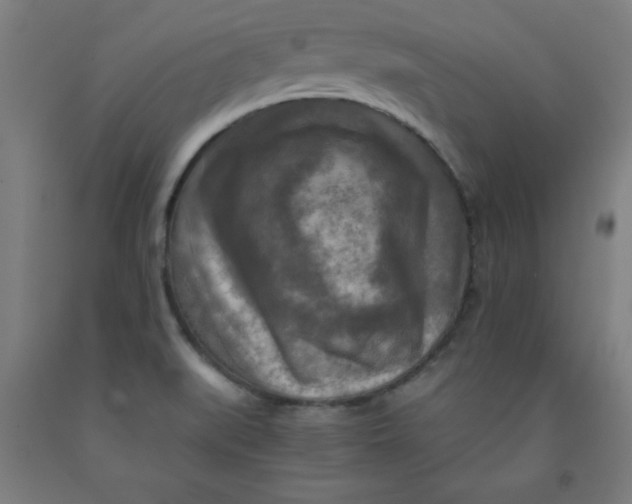 X0000091921519200709261631