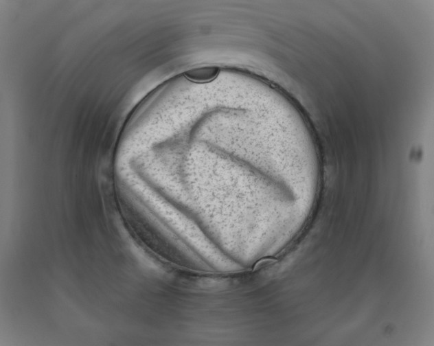 X0000091921521200709261631