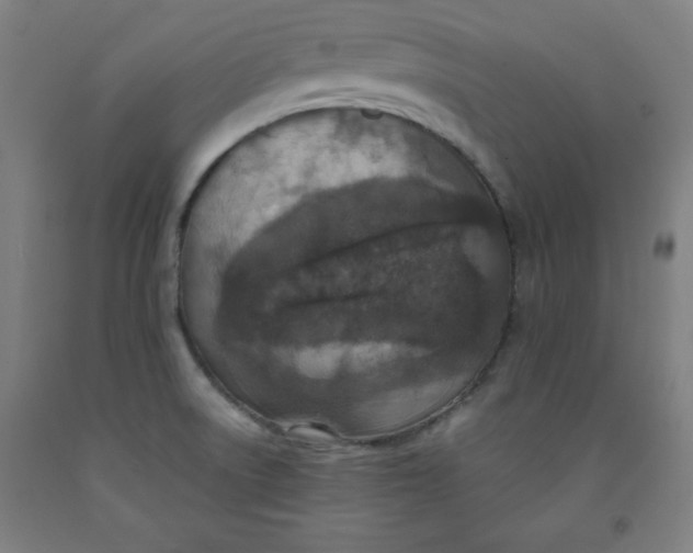 X0000091921522200709261631