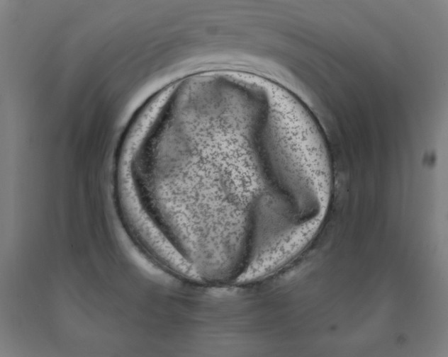 X0000091921523200709261631