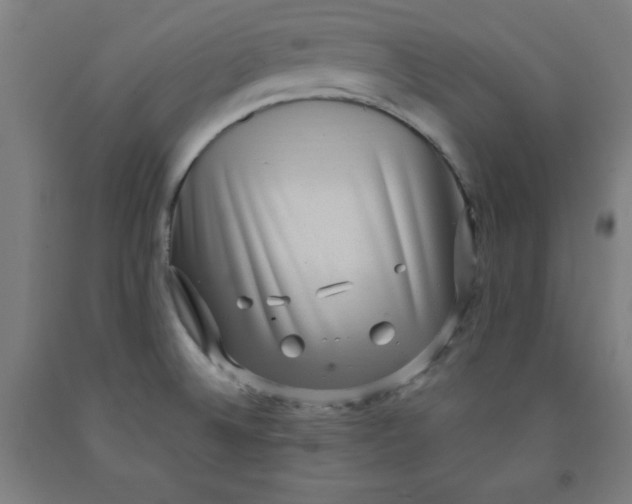 X0000091921524200709261631